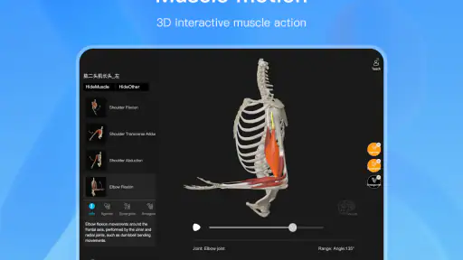 Anatomy Master screenshot