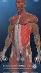 AR Anatomy screenshot