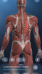 AR Anatomy screenshot