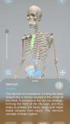 AR Anatomy screenshot