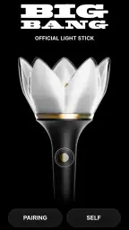BIGBANG OFFICIAL LIGHT STICK screenshot