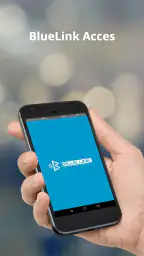 BlueLink Acces screenshot