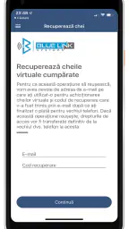 BlueLink Acces screenshot