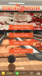 Bowling Master Realistic Game screenshot