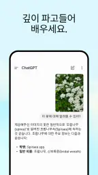 ChatGPT screenshot