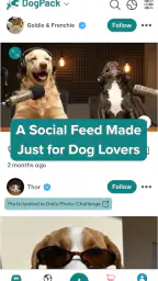 DogPack: 애견 공원과 돌봄 screenshot
