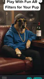 DogPack: 애견 공원과 돌봄 screenshot
