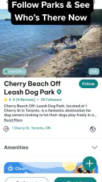 DogPack: 애견 공원과 돌봄 screenshot
