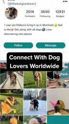 DogPack: 애견 공원과 돌봄 screenshot