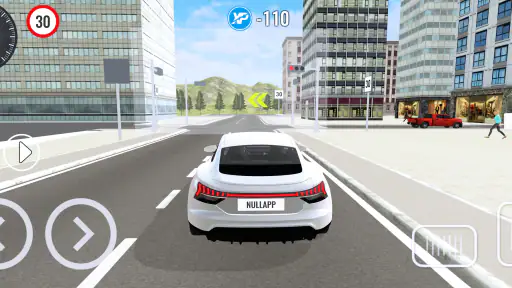 Driving School 3D screenshot