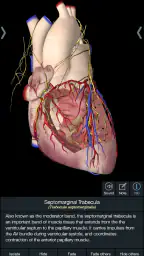Essential Anatomy 5 screenshot