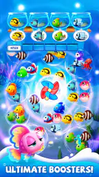 Fish Sort Puzzle: 퍼즐 게임 screenshot