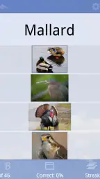 Flashcards Deluxe screenshot