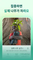Forest: 공부 집중 & 생산성 타이머 screenshot