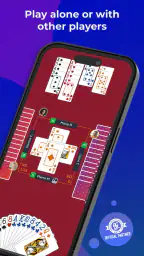 Fun Bridge screenshot