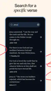 Holy Bible Offline NIV KJV App screenshot
