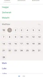 Holy Bible Recovery Version screenshot