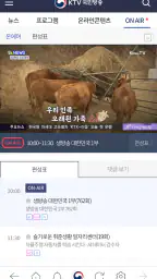 KTV 국민방송 screenshot