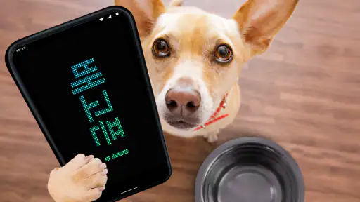 LED 디스플레이 - 네온사인 - 전광판 앱 screenshot