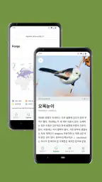 Merlin Bird ID by Cornell Lab screenshot