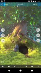 nPlayer screenshot