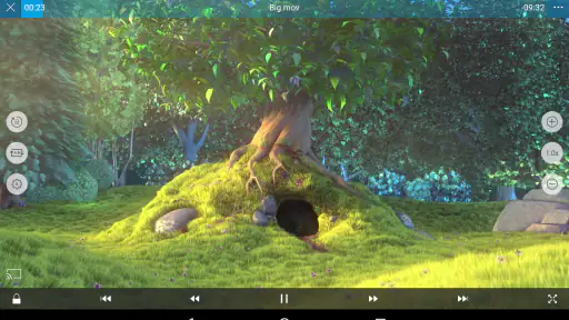 nPlayer screenshot