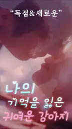 ReelRush - 숏드라마：당신을 위한 킬링타임 마루 screenshot