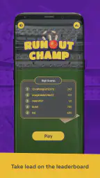 Run Out Champ: Hit Wicket Game screenshot