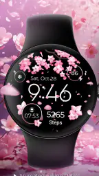 Seasonal Watch - Animated screenshot