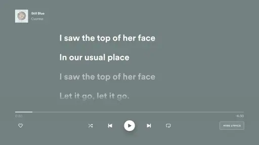 Spotify (스포티파이) screenshot