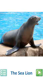 Teach Your Kids Animal Sounds screenshot