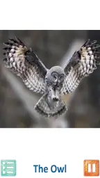 Teach Your Kids Animal Sounds screenshot