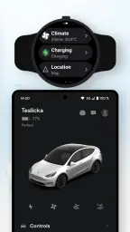 Teswear: Tesla용 시계 앱 screenshot