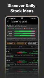 TipRanks Stock Market Analysis screenshot