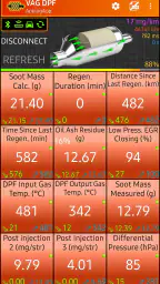 VAG DPF screenshot
