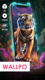 Wallpo: 3d 벽지 screenshot