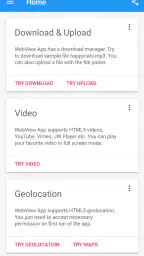 WebView App screenshot
