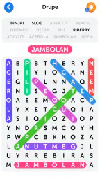 Word Search screenshot