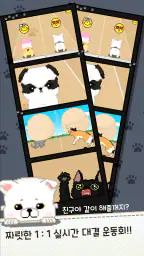 가족이되어주세요 - 강아지 고양이 키우기 screenshot