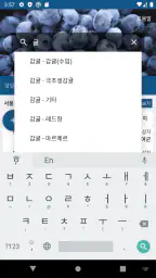 농산물 경매 가격 정보 - 실시간, 일자별 screenshot