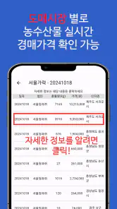 농수산물 실시간 경매 가격 정보 - 도매시장 screenshot
