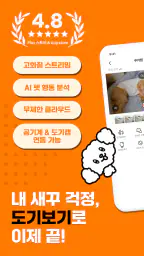 도기보기: AI 펫 CCTV, 행동감지, 강아지, 펫캠 screenshot