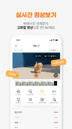 도기보기: AI 펫 CCTV, 행동감지, 강아지, 펫캠 screenshot