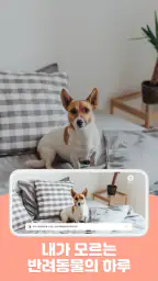 도기보기 캠(공기계에 설치) screenshot