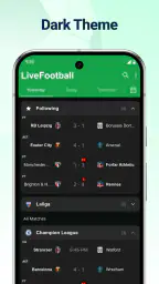 라이브스코어: 축구 라이브 경기 screenshot