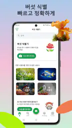 버섯 식별기 screenshot
