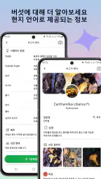 버섯 식별기 screenshot