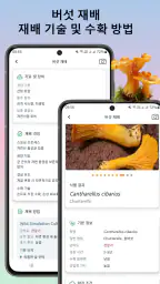 버섯 식별기 screenshot