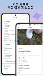 버섯 식별기 screenshot