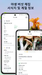 버섯 식별기 screenshot